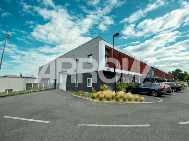 Entrepôt à vendre LEZENNES 1