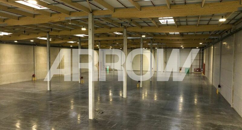 Entrepôt à louer LEERS 4